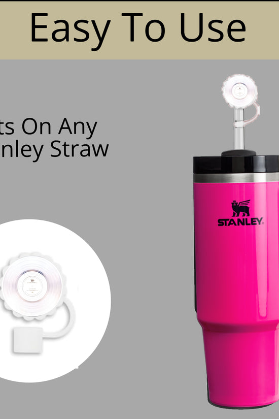 Taylor Swift Straw Topper