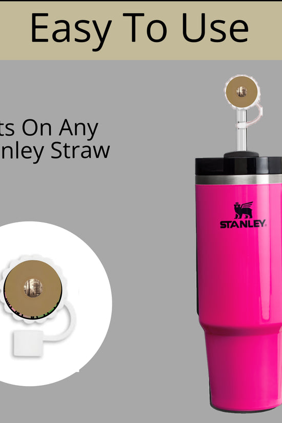 Taylor Swift Straw Topper