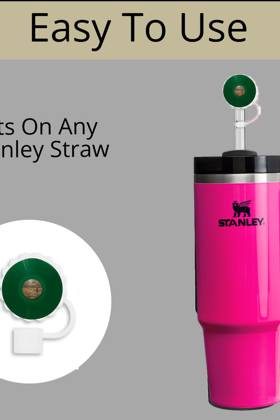 Taylor Swift Straw Topper