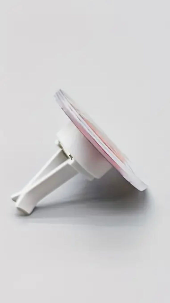 REPUTATIONTaylor Swift Car Air Freshener