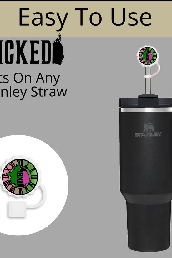 Wicked Straw Cover