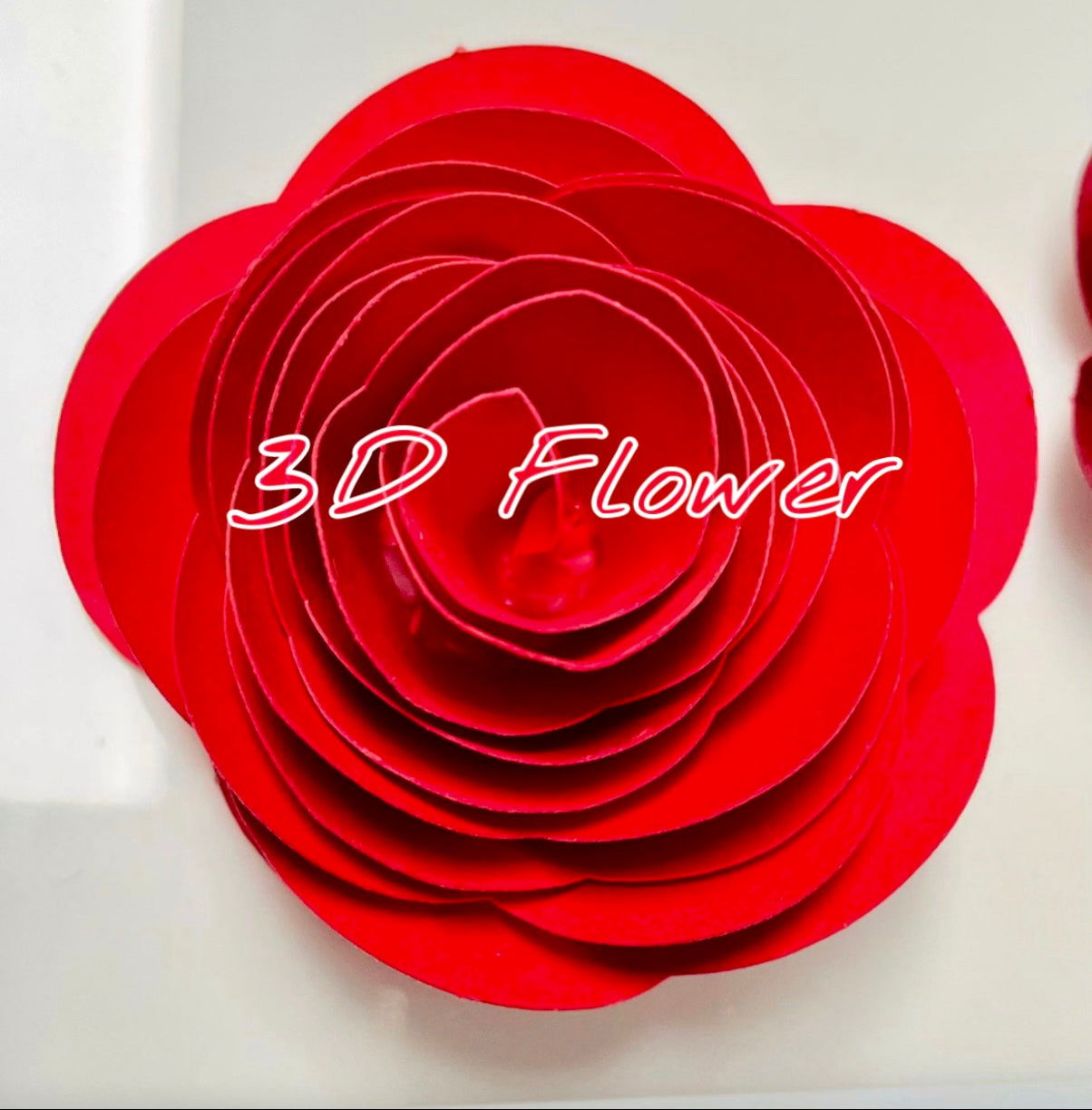 Awesome Since Multicolor Flower Shadow Box