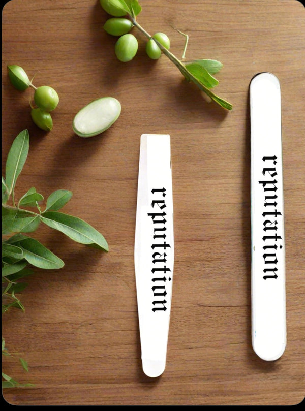 The REPUTATION Stainless Steel Nail File by Kreative Kreationz features "reputation" in black Gothic font—a reusable Swiftie essential. It’s displayed on wood with green olives, branches, and an aloe vera leaf.